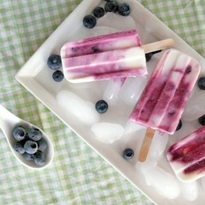 Blueberry Lemonade Frozen Yogurt Ice Pops